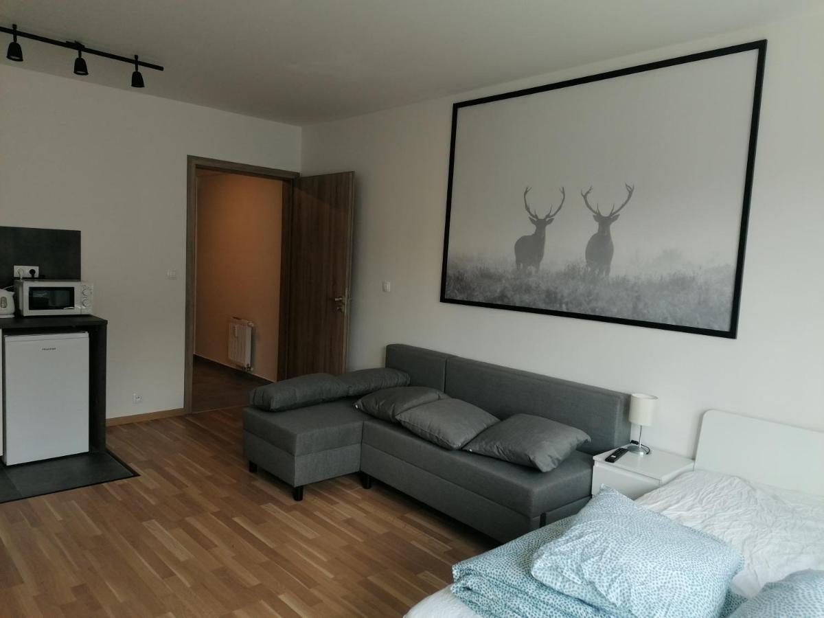 Brand New Studio Apartment #21 With Free Secure Parking In The Center Praga Esterno foto